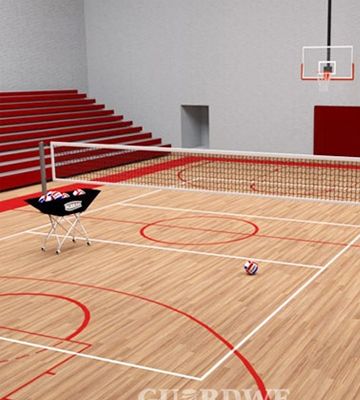 Indoor Basketball Court – PVC Wood Embossed