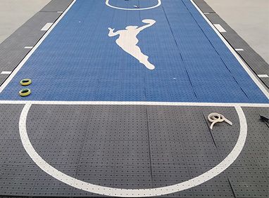 Backyard court