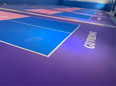 "Guardwe Unveils 6 Vibrant AcryTech Pickleball Courts!"